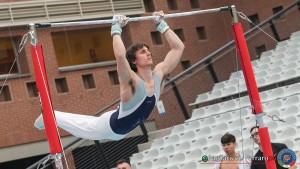 serie b lpg00440 ph pagliaricci ferraro